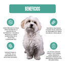 PPVET-HM-EN-377G_2.webp