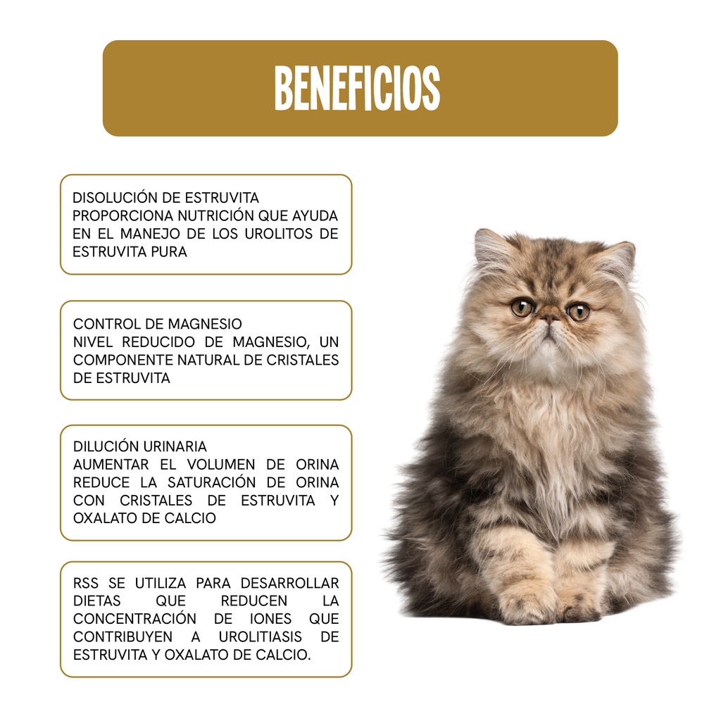 Fichas Técnicas Productos 50-100skus-89.webp